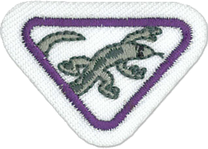 Lizards