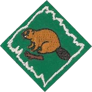 Beavers
