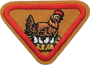 Chickens